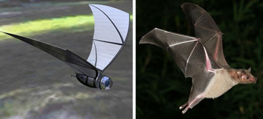 biomimicry-bat-wings-DreamSmoke