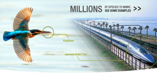 biomimicry-bullet-train-DreamSmoke